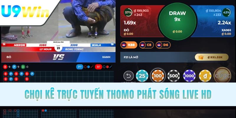 Chọi kê trực tuyến Thomo phát sóng live HD