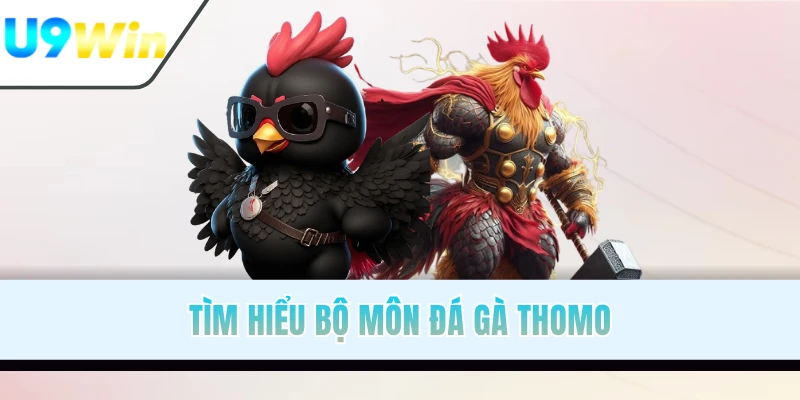 Tìm hiểu bộ môn đá gà Thomo