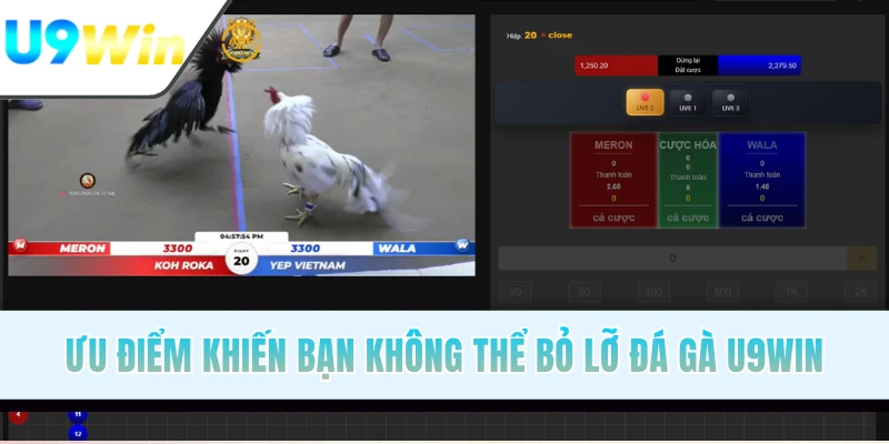 Ưu điểm khiến bạn không thể bỏ lỡ đá gà U9WIN