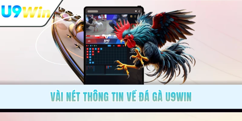 Vài nét thông tin về đá gà U9WIN